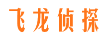 狮子山找人公司